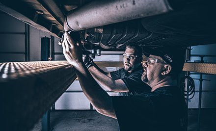 support-page-training-tout support-page-training-tout